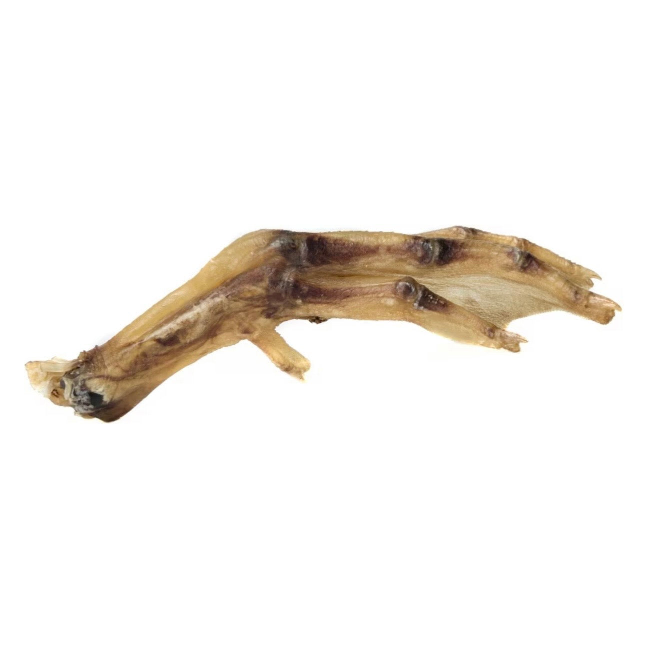 Pastured Raised Whole Duck Feet